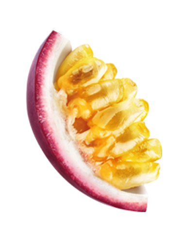 trozo CitrusPop 3