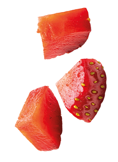 trozo berryBliss 3